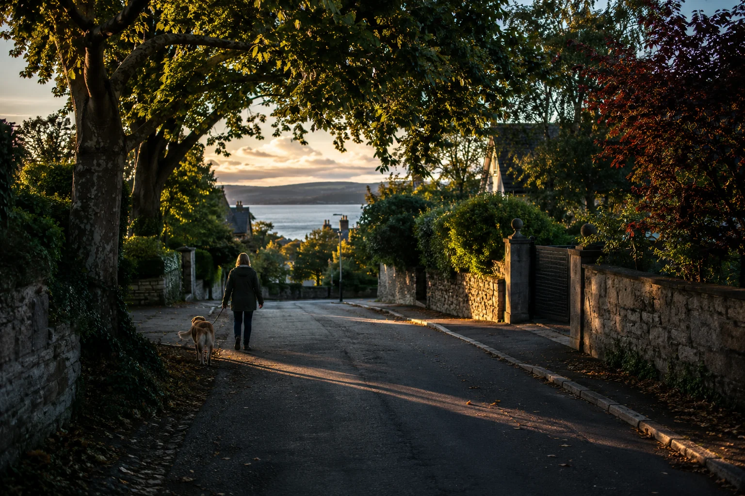 A person walking a dog along a leafy street